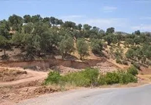 ۵۸۰۰ متعرض به عرصه&zwnj;های طبیعی طی سال گذشته دستگیر شدند