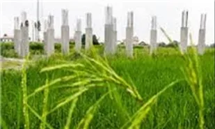 علت ۶۵ درصد تغییر کاربری اراضی کشاورزی تهران درآمدزایی است