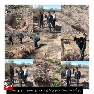 ۶۳ درخت توسط بسیجیان باغملک غرس شد