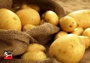 برخورد قاطع با احتکارکنندگان سیب&zwnj;زمینی در استان اردبیل