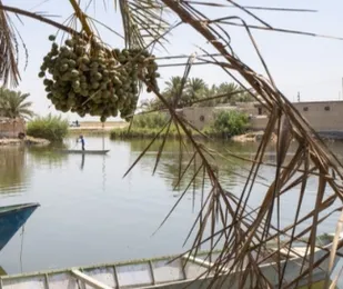 حال تالاب بین&zwnj;المللی شادگان؛ فعلا خوب، اما شکننده