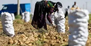 مشکل صندوق خرد زنان روستایی در استان حل می شود