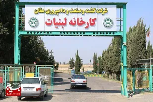 صادرات محصولات کشت و صنعت مغان برندسازی شد