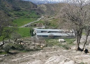 شهیدی که در دیدار آخر، شهادتش را بازگو کرده بود/ همسر شهیدی که جهاد را از کار اقتصادی ادامه داد