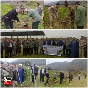 کاشت ۳۰۰۰ نهال در شهرستان گلوگاه