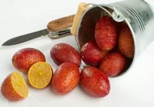 عوارض غیر قابل کنترل محصولات تراریخته بر سلامت افراد