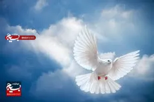 تشییع و خاکسپاری مادر شهیدان رئیسی