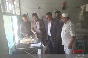 ۸۰ درصد نانوایی&zwnj;های شهرستان دیر به کارت&zwnj;خوان هوشمند متصل شدند