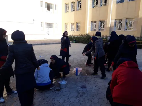 حضور سرتیم طرح 