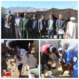 نهمین رزمایش خدمات جهادی دامپزشکی تحت عنوان شهدای راه قدس در شهرستان حاجی آباد بخش مرکزی برگزار شد