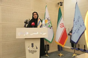 تاکید معاون وزیر کار، بر مشارکت سه&zwnj;جانبه برای ارتقای ایمنی محیط کار+فیلم
