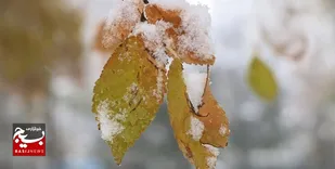 پیش بینی بارش&zwnj; پراکنده برف و باران در خوزستان