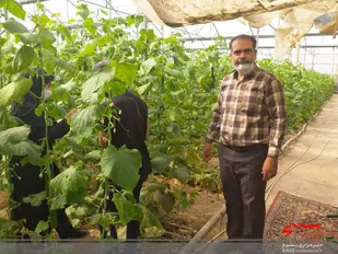 اعزام گروه&zwnj;های تخصصی بسیج مهندسین کشاورزی شاهرود به باغات و گلخانه&zwnj;ها