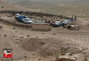 &nbsp;واکسیناسیون بیش از ۷۵۰ هزار رأس دام در خواف