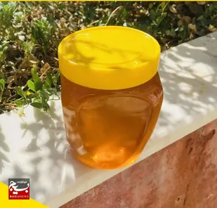 تولید عسل گون در شهرستان گتوند