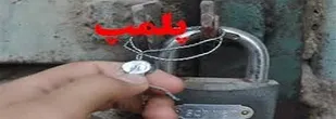 پلمپ ۴۴ واحد عرضه مرغ زنده در قروه