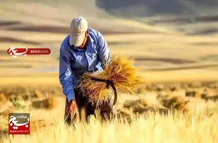 پرداخت ۴۲ میلیارد تومان از مطالبات کشاورزان شوشتر