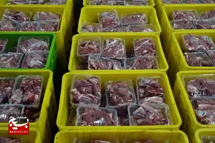 ۱۳۵۰۰ بسته گوشت قربانی در بین نیازمندان شهرستان توزیع شد