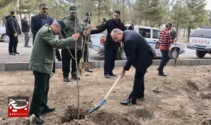 غرس ۲۵۰۰ اصله نهال در گلبهار به همت بسیج