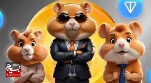 همستر؛ صرفا یک "بازی یا نقشه ای جدید"