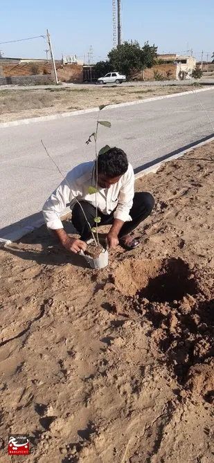 غرس نهال به مناسبت دهه فجر در شوشتر
