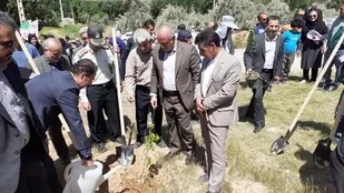 بروجرد دارای پوشش جنگلی پایینی است