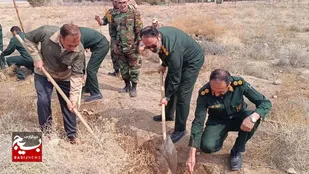 غرس ۱۰۰۰نهال در پایگاه و حوزه&zwnj;های سپاه میامی+ تصاویر