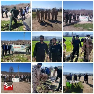 کاشت بیش از هزار اصله درخت در محوطه پادگان شهید یونسی