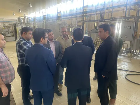 بازديد ميداني اعضاء كارگروه تسهيل استان خراسان جنوبي از واحدهاي صنعتي