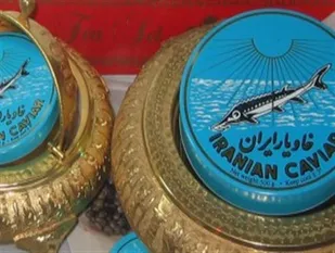 اسرائیل رقمی نیست که بتواند لطمه&zwnj;ای به تولید خاویار ایران وارد کند