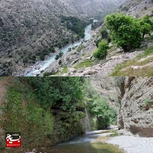 پل پرزین یکی ازمناطق گردشگری در شهرستان گتوند است