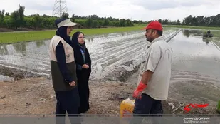 ۱۵۰ روستای ساری در بسیج همگام با کشاورز