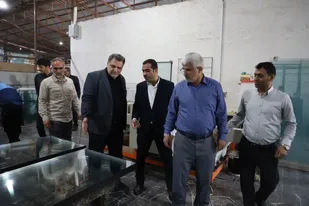 بازدید معاون هماهنگی امور اقتصادی استانداری به همراه رئیس سازمان بسیج سازندگی سپاه نینوا از طرح های اقتصادمقاومتی استان