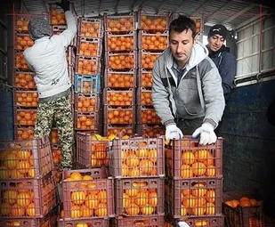 فروش میوه شب عید با ۱۵ درصد تخفیف