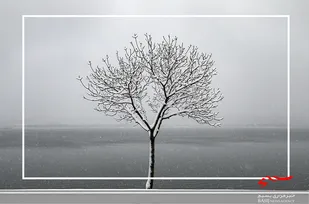 کولاک برف بر فراز اردبیل