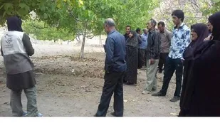 مبارزه با کرم خراط آفتی که به نام حشره چوبخوار معروف است