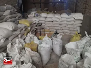 ۱۲ تن نهاده دامی غیرمجاز کشف شد