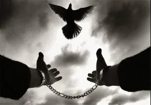 ۲ نفر با گذشت اولیای دم در کرج از قصاص نجات یافتند