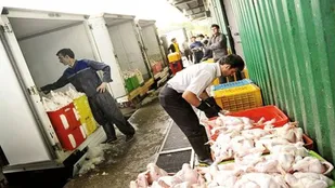 عمده فروشان مرغ تره بار بهمن در آستانه مهاجرت/ نگرانی از بازگشت به بافت مسکونی اطراف تره بار