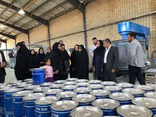 معاون رئیس جمهور:
۳۸۰۰ شغل برای زنان خود سرپرست در کشور ایجاد شده است