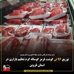 توزیع ۹۶ تن گوشت قرمز گوساله گرم تنظیم بازاری در استان قزوین