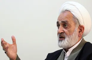 طرح شورای رهبری به دو قطبی شدن جامعه دامن می&zwnj;زند