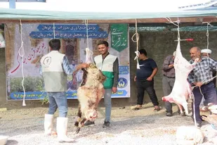 قربانی ۳۰ راس گوسفند و توزیع میان نیازمندان توسط سپاه ناحیه ارسنجان