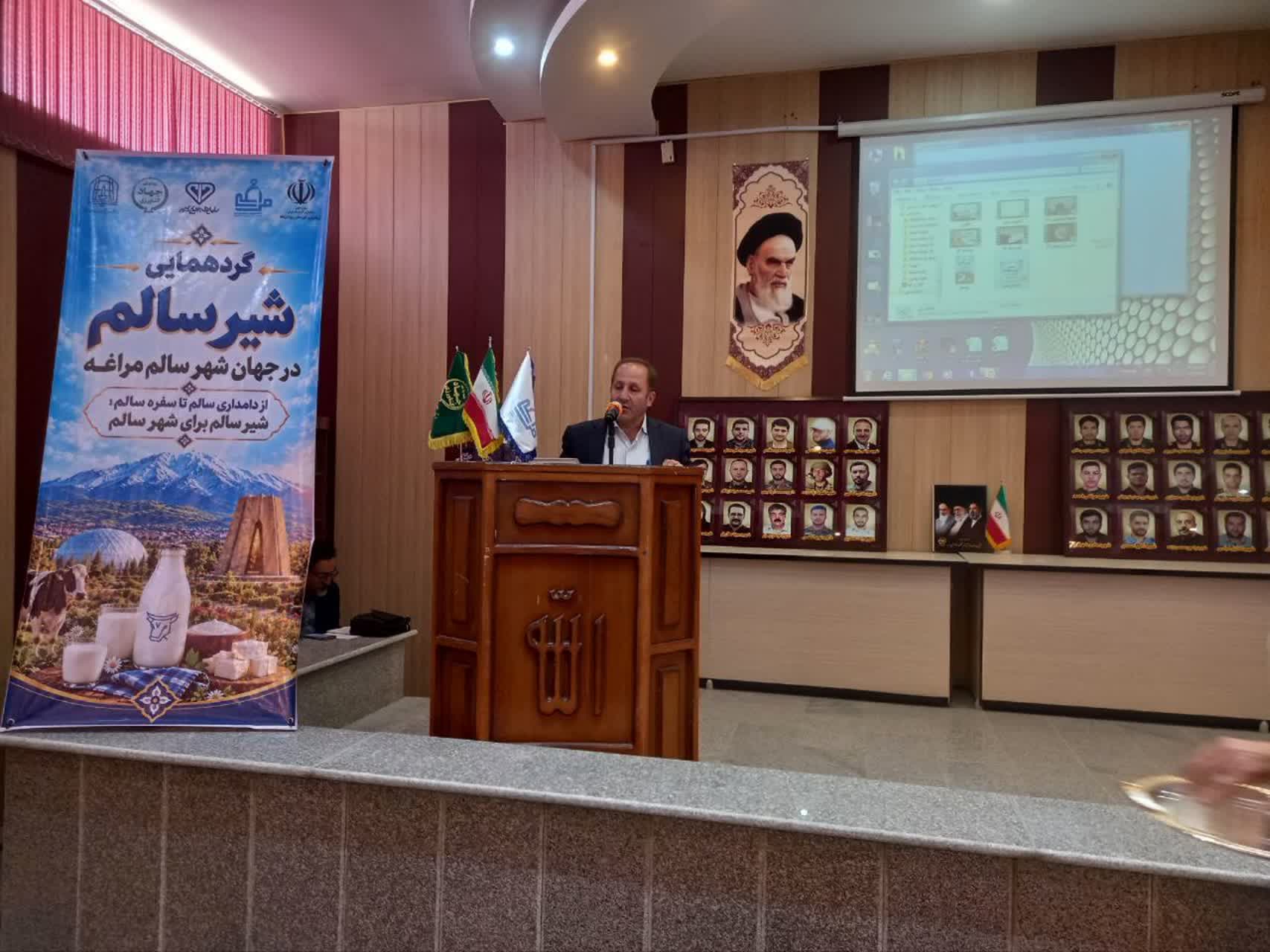 تولید سالانه ۴۵ هزار تن شیر خام در مراغه