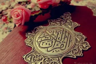 برگزاری ۱۰۰ برنامه قرآنی ویژه هفته دفاع مقدس در استان بوشهر