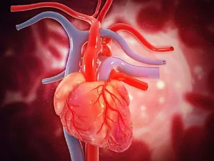علائم ساده&zwnj;ای که از یک بیماری خطرناک خبر می&zwnj;دهند