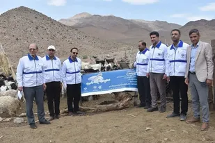 اردوی جهادی واکسیناسیون دامپزشکی شهرستان بهاباد آغاز شد