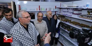 وزیر بهداشت: امکانات درمانی و بهداشتی برای خدمت به زائران در مرزها مستقر شده است