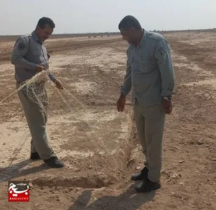 تخریب ۵ کوخه و جلوگیری از زنده گیری پرندگان شکاری در خوزستان