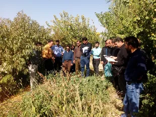 کلاس پرورش گیاهان دارویی در رباط کریم